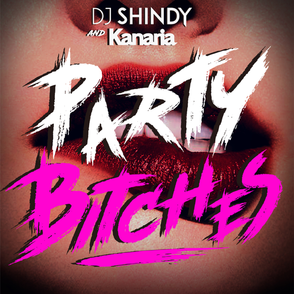 Party Bitches Single By Dj Shindy Kanaria On Apple Music
