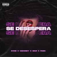 Se Desespera (feat. NACHOSKY, Sour & FADEK) - Single - BVDGE