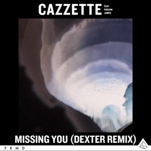 Missing You (feat. Parson James) [Dexter Remix] - Single