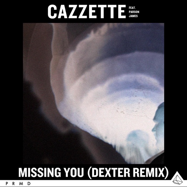Missing You (feat. Parson James) [Dexter Remix] - Single