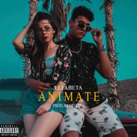 Animate - Single - ÆLFABETA
