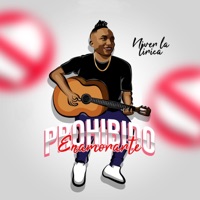 Prohibido Enamorarte - Single - NIVER La Lírica