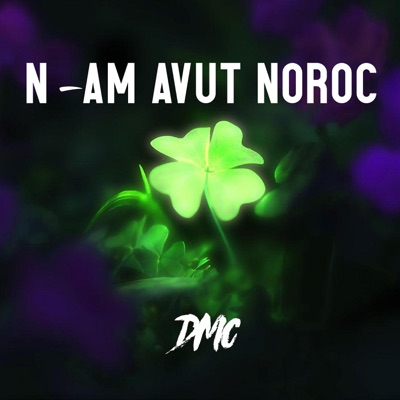 N-Am Avut Noroc - Single