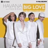 Big Love (feat. Yaar & Kaiia) [Mike Tsoff & German Avny Remix] artwork