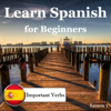 Learn Spanish for Beginners: Important Verbs, Lesson 1 - Señor Español & Mrs Britton