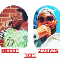 Dead (feat. Illamadi) - Single - Poshbwoy