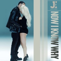 Now I Know Why - Single - James Elizabeth