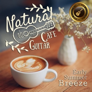 Natural Cafe Guitar ~early Summer Breeze~