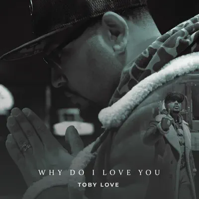 Why Do I Love You - Single - Toby Love