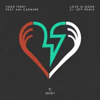 Love Is Gone (feat. Ami Carmine) [Cj Jeff Remix] — Todd Terry