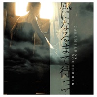 Arashi ni narumade matte - Single