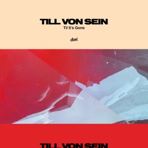 Til It's Gone - Single
