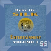 Best of Silk Entertainment, Vol.1 artwork