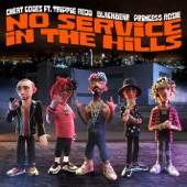 No Service in the Hills (feat. Trippie Redd, blackbear, PRINCE$$ ROSIE) artwork