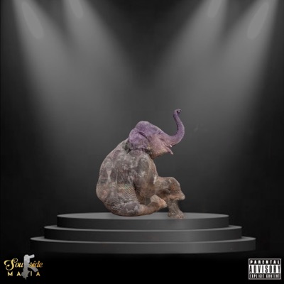 Elephants in the Room