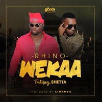 Wekaa (feat. Shetta) - Single - Rhino The Don