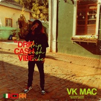 Drip Cash Vibe - Single - Vk Mac