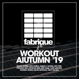 Working Fine (VIP Dub Mix) John Bolton