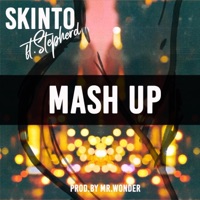 Mash Up (feat. Stepherd) - Single - Skinto