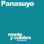 Panasuyo - El Ingeniero