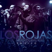 No Me Abraces Porque Lloro (En Vivo) artwork