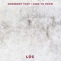 Somebody That I Used to Know