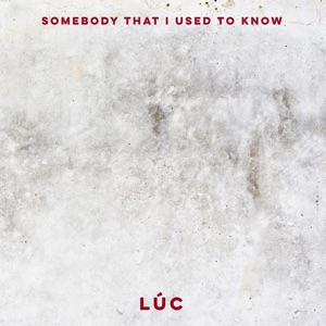 Somebody That I Used to Know - Single
