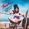 Lambando Com Você cover art