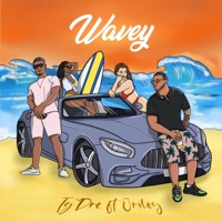 Wavey (feat. Jriley) - Single - Ty'Dre