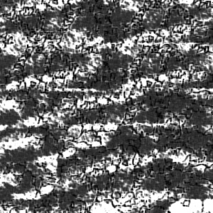 Days Through the Combine - Single