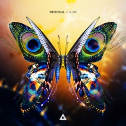 Tritonal - Little Bit of Love (feat. Rachel Platten)
