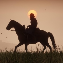 Old Town Road *Lionsmane