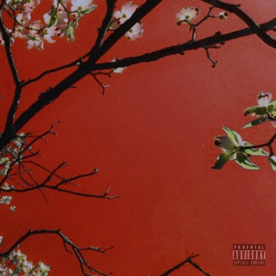 Up (Deluxe)