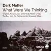 Dark Matter - What Were We Thinking (Airwave Remix)