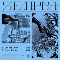 Let Me Down / Never Know - Single - Sempra