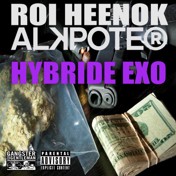 Hybride Exo (feat. Alkpote) - Single - Roi Heenok