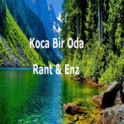 Koca Bir Oda (feat. Enz) - Single