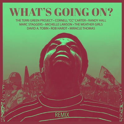 Whats Going on (Frank Blythe Remix) - Single