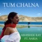 Tum Chalna (feat. Aaria) - Abhishek Ray lyrics