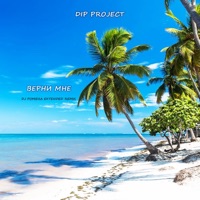 Верни мне (Dj Pomeha Extended Remix) - Single - DIP Project