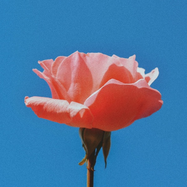 Red Cashmere Sweater (feat. XAM)