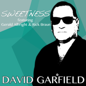 Sweetness (feat. Gerald Albright & Rick Braun) - David Garfield