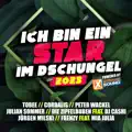 Weil wir Brüder sind