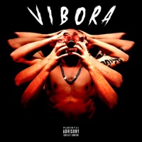 Víbora - Single - Gok