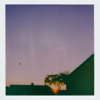 Vwxy - Single - Yankolo