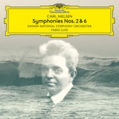 Nielsen: Symphonies Nos. 2 & 6 artwork