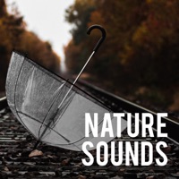 Nature Sounds - Rain Sounds