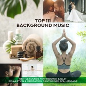 Top 111 Background Music: Gentle Sounds for Wedding, Ballet, Relaxation & Meditation, Tantric Sex, Spa, Massage artwork