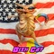 Bish Cat artwork
