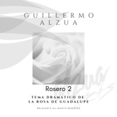 Rosero 2 (Tema Dramático de la Rosa de Guadalupe) artwork